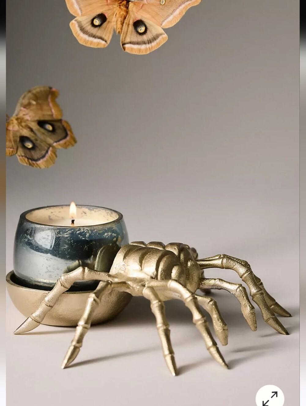 Catherine Martin X Anthropologie Midnight Creatures Spider Candle Holder/Tray - Picture 13 of 13